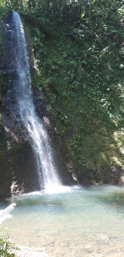 Le Pélikan Le Gosier  Bagian luar foto